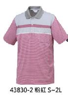 條紋POLO衫 43830-2