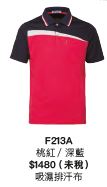 F213A