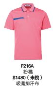 F216A