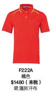 F222A