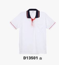 短POLO衫 D13501